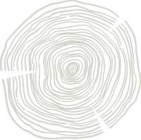 content-image-pattern-gray