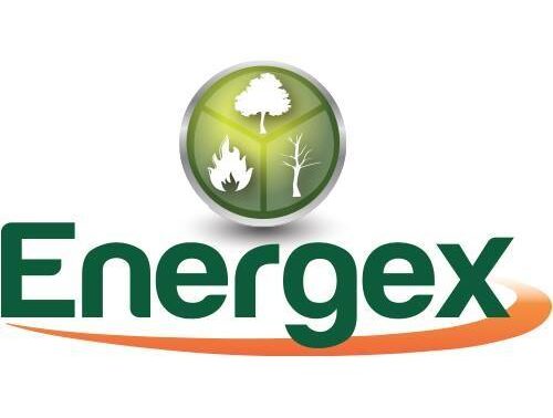 Energex Logo On White
