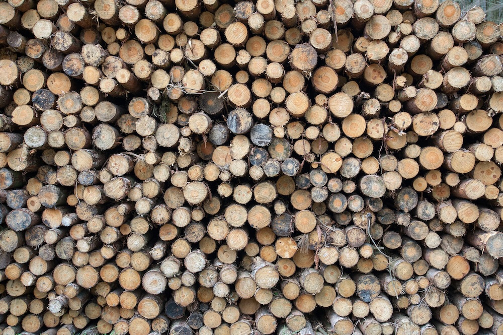 logs stacked